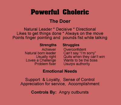 Choleric Personality, Choleric Melancholic, Sanguine Personality, 4 Temperaments, Temperament Types, Personality Quotes, Human Personality, Say Im Sorry, Myers Briggs Personalities