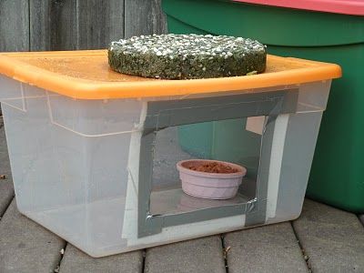 The Very Best Cats: Feeding Outdoor Cats in the Winter - Food Stations... Cat Food Station, Dog Food Station, Outdoor Cat Shelter, Feral Cat Shelter, Cat Feeding Station, Feral Cat House, Outdoor Cat Enclosure, Cat Sanctuary, Outdoor Cat House