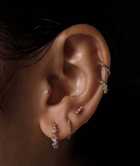 Lots Of Earrings On Ear, Sarah And Sebastian Earrings, Ear Piercing Designs Classy, Ear Piercings And Tattoos, Piercing Styling Ideas, Small Ear Piercings Ideas Classy, Balanced Ear Piercings, Ear Piercing Ideas Studs, Piercings Ear Silver