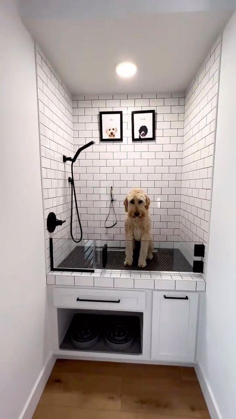 Dog Friendly Apartment, Baby Doodles, Dog Room Design, Lakehouse Design, Dog Station, Dog Room Decor, Dog Bedroom, Puppy Room, Washing Station