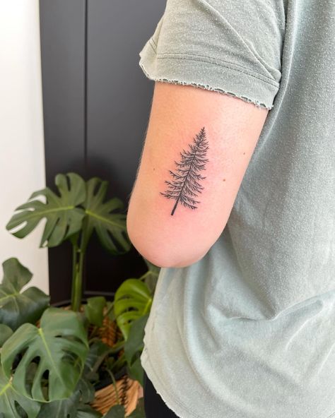 20 Stunning Pine Tree Tattoo Ideas for Men & Women in 2024 Tree Tattoo Ideas For Men, Pine Tree Wedding, Matching Tattoos For Siblings, Tree Tattoo Ideas, Pine Tattoo, Winter Tattoo, Tree Tattoo Forearm, Tree Tattoo Men, Wedding Band Tattoo