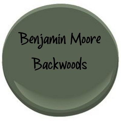 Backwoods Paint Color, Benjamin Moore Backwoods, House Color Palettes, Favorite Paint Colors, Green Paint Colors, Paint Color Ideas, Colors For Home, Favorite Paint, Interior Paint Colors