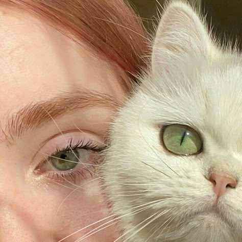 Beautiful Eyes Color, Lily Evans, Aesthetic Eyes, Cat Aesthetic, Pretty Eyes, Eye Art, Cute Selfie Ideas, Pretty Cats, Green Aesthetic