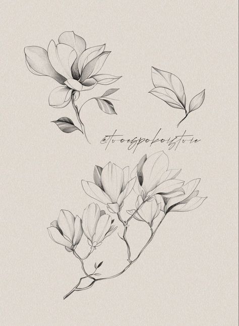 Mongolia Flower Tattoo, Magnolia Tattoo Design, Magnolia Tattoo, Tattoo Floral, Tattoo Shading, Flower Tattoo Drawings, Soul Tattoo, Feather Tattoo Design, Botanical Tattoo