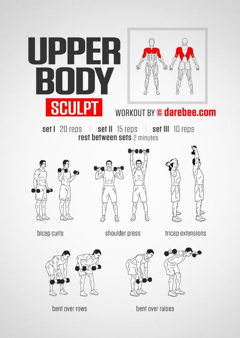 Upper Body Workout To Tone Your Arms Arm Workout Men, Sculpt Workout, Fitness Studio Training, Dumbbell Workouts, Trening Sztuk Walki, Gym Antrenmanları, Dumbell Workout, Arm Workouts, Weight Training Workouts