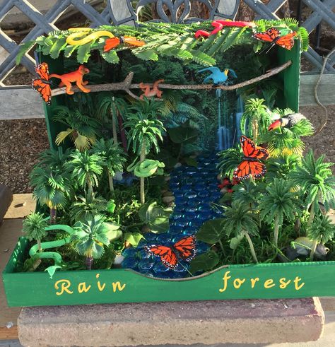 Rainforest Habitat Diorama (animals Are Printable Shoebox Habitat, Rain Forest Diorama, Ecosystems Diorama, Rainforest Crafts, Habitat Project, Rainforest Project, Rainforest Ecosystem, Biomes Project, Rainforest Biome