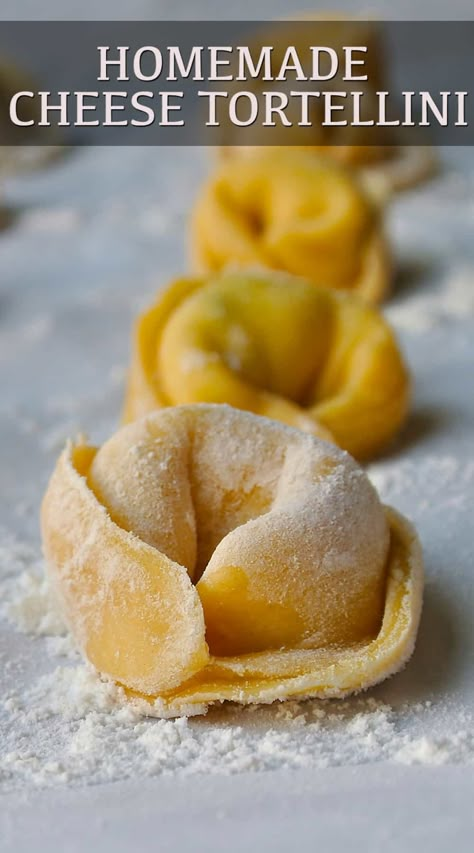 Homemade Cheese Tortellini starts with great homemade pasta. This cheese tortellini is filled with ricotta, Parmesan and fresh spinach. This is a step-by-step guide to making the perfect dough and turning it into tortellini. #homemadetortellini #cheesetortellini #ricottatortellini #homemadepasta Homemade Tortellini Dough, Homemade Tortilini Recipes, Pasta Sheets Recipes, Homemade Cheese Tortellini, Tortellini Filling, Easy Homemade Noodles, Perfect Dough, How To Make Tortellini, Homemade Tortellini