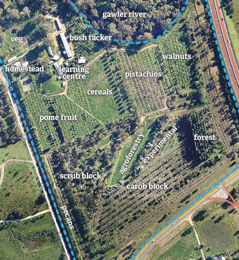 Farm Layout 10 Acres, 5 Acre Homestead Layout, Permaculture Farm, Permaculture Garden, Farm Plans, Farm Layout, Permaculture Gardening, Permaculture Design, Market Garden