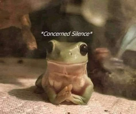 Response Memes, Text Memes, Funny Reaction, Zooey Deschanel, A Frog, Silly Animals, Mood Humor, Funniest Memes, Reaction Images