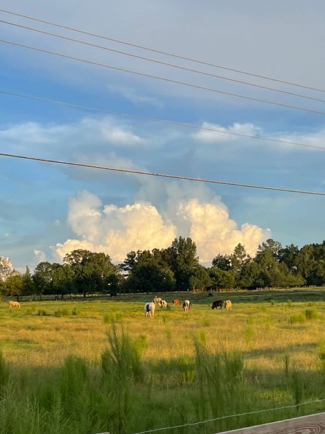 Pretty Field Aesthetic, Wide Field Aesthetic, Big Field Backyard, House In A Field Aesthetic, Alabama Country Side, Grass Land Aesthetic, Midwest Field Aesthetic, Farm Field Aesthetic, Sunny Grass Field Aesthetic