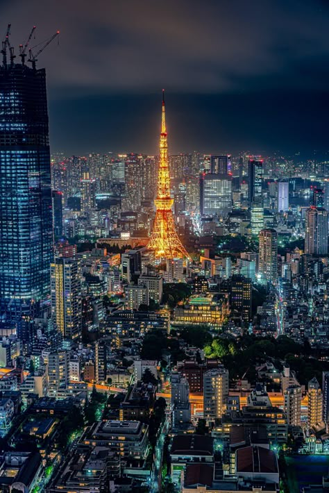 Tokyo night view The post Tokyo night view appeared first on Alo Japan. When Life Doesnt Feel Real, Life Doesnt Feel Real, Tokyo Japan Travel Photography, Tokyo Night View, Japan Vibes, Tokyo Japan Travel, Tokyo Night, Tokyo City, Cyberpunk City