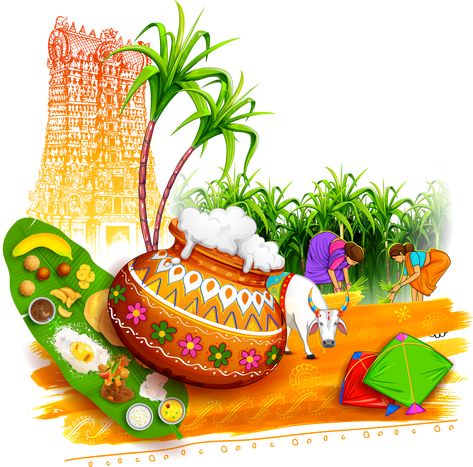 Pongal Wish, Happy Pongal In Tamil, Pongal Photos, Ayyappa Images, Pongal Festival Images, Birthday Hat Png, Pongal Greeting Cards, Pongal Greetings, Happy Makar Sankranti Images