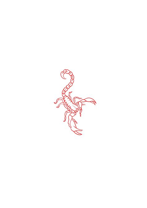 Scorpio Tattoo On Neck, One Line Scorpion Tattoo, Fineline Scorpion Tattoo, Red Scorpion Tattoo, Small Scorpion Tattoo, Scorpion Tattoo Feminine, Scorpion Drawing, Scorpio Zodiac Tattoos, Boho Tattoos