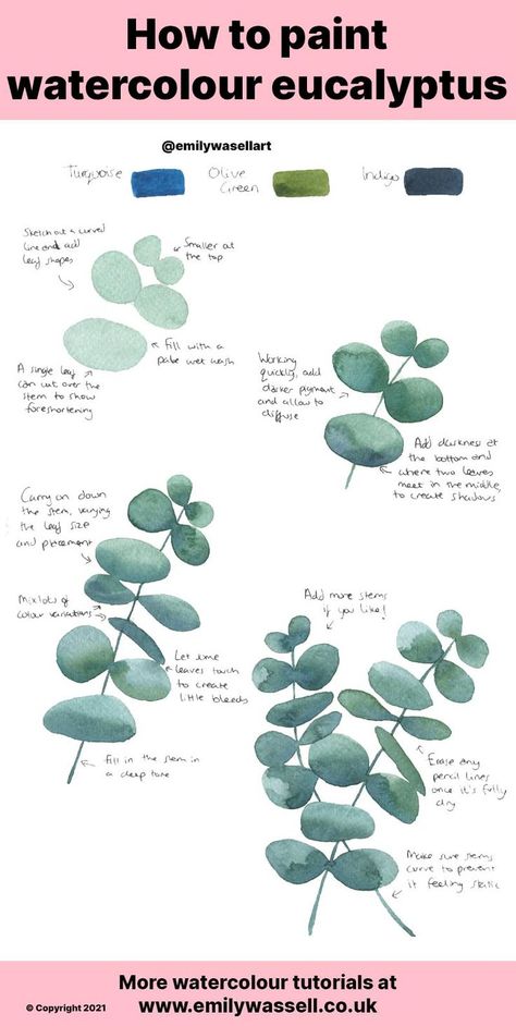 Paint Eucalyptus Leaves Acrylic, Watercolour Beginners Ideas, Watercolour Leaf Tutorial, How To Paint Eucalyptus Leaves Acrylic, How To Paint Eucalyptus Leaves, Watercolour Eucalyptus Leaves, Painting Eucalyptus Leaves Acrylic, Water Colour Leafs, Watercolor Flowers Easy Step By Step