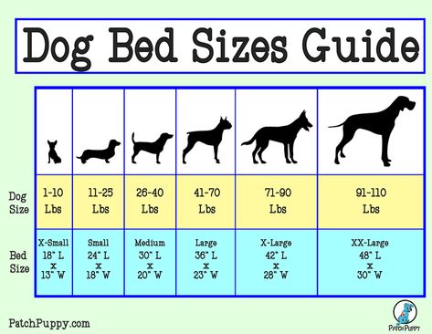 5 Cheap N Easy Dog Beds - DIYs with Plans - PatchPuppy.com Doggy Beds Diy Ideas, Diy Dog Beds For Large Dogs, Pet Beds Diy, Dog Bed Plans, Diy Dog Beds, Easy Dog Bed, Dog Bed Ideas, Dog Beds Homemade, Dog Crate Pad