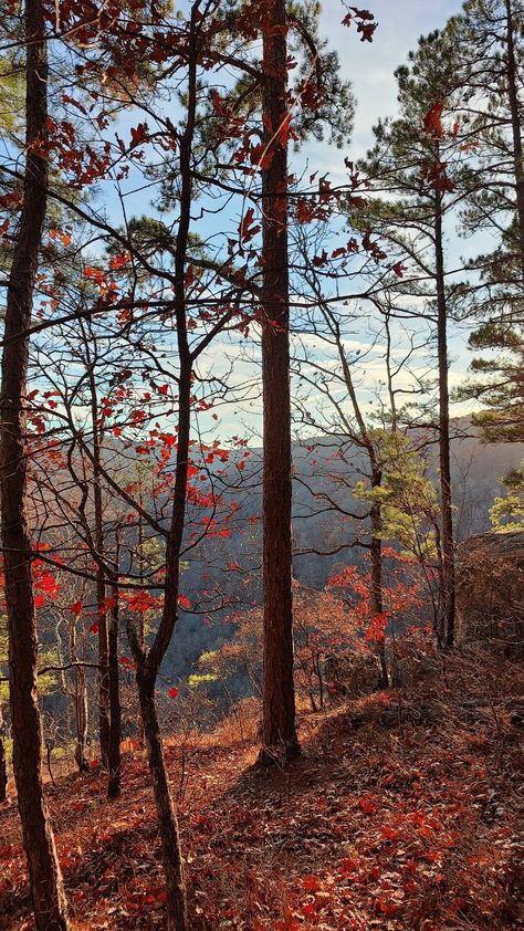 Fayetteville Arkansas Fall, Fayetteville Arkansas Aesthetic, Fall Arkansas, Arkansas Aesthetic, Country Girl Aesthetic, Purple Mountain Majesty, Eureka Springs Arkansas, American States, Random Photography