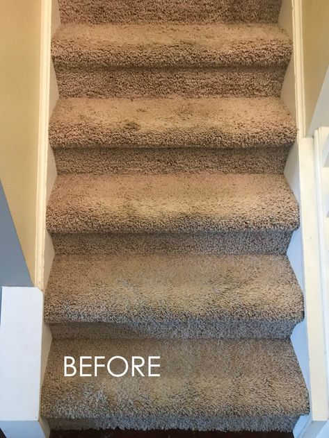 How to replace carpet with an inexpensive stair runner for around $100 Replace Carpet, Diy Stairs Makeover, Stairs Remodel, Stairs Makeover Design, Redo Stairs, Diy Staircase Makeover, Stairs Makeover Ideas, Stair Renovation, Carpet Staircase