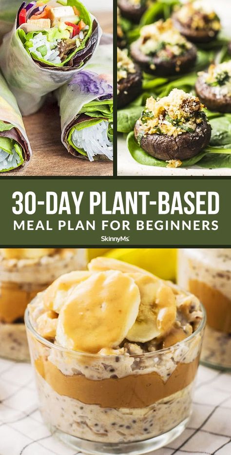 1200 Calorie Diet Meal Plans, Plant Based Diet Meals, Plant Based Diet Meal Plan, Meal Plan For Beginners, Plant Based Meal Planning, Healthy Plant Based Recipes, Plant Based Diet Recipes, Plant Based Whole Foods, Ketogenic Diet Meal Plan