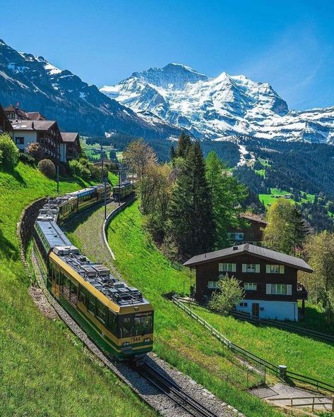 Travel In Your 20s, Wengen Switzerland, Switzerland Summer, Scenic Train Rides, Beautiful Switzerland, Where To Live, Bern Switzerland, Food Experience, Diamond Art Painting