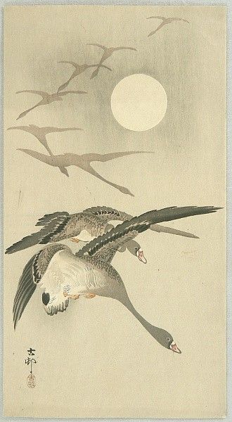 Japanese Ink Painting, Wild Goose, Utagawa Hiroshige, Japanese Art Prints, Ohara Koson, University College London, Poster Size Prints, Flying Geese, University College