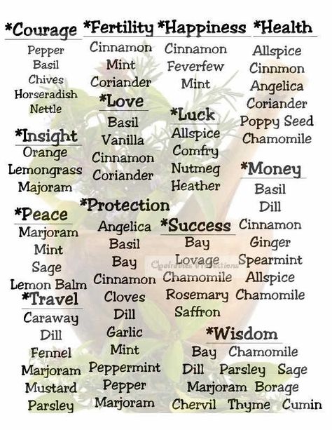 Herb Meanings, Witchcraft Meaning, Wicca Herbs, Witchcraft Herbs, Magickal Herbs, Witch Herbs, Green Witchcraft, Magia Das Ervas, Witch Spirituality