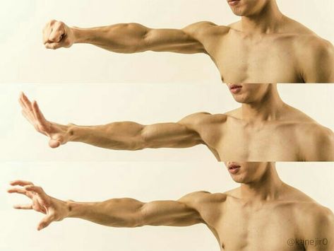 Muscle Hand Reference, Male Antonamy Reference, Arms Above Head Pose Reference, Male Gesture Poses, Arms Behind Head Pose Drawing, Arms Muscles, Arm Anatomy, 남성 근육, Hand Muscles