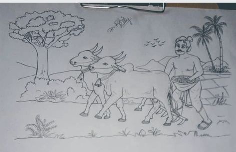 Farmers day Farmer Drawing Sketch, Farmer Drawing Easy, Tamil Greetings, Farmers Day, Happy Pongal, Pencil Sketch Drawing, Beautiful Sketches, Poster Drawing, Cards Design