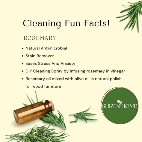 #rosemary  #sustainableliving #sustainability #naturalcleaning  #cleaningtips #japancleaning #ecofriendly  

✨ Freshen up your space with the power of rosemary! 🌿 Not only does it smell amazing, but its natural antimicrobial properties make it a fantastic eco-friendly cleaning solution. Say goodbye to harsh chemicals and hello to a cleaner, greener home! 🏡💚 Diy Cleaning Spray, Natural Antimicrobial, Cleaning Fun, Homemade Cleaning Solutions, Homemade Cleaning, Cleaning Spray, Oil Mix, Rosemary Oil, Smell Amazing