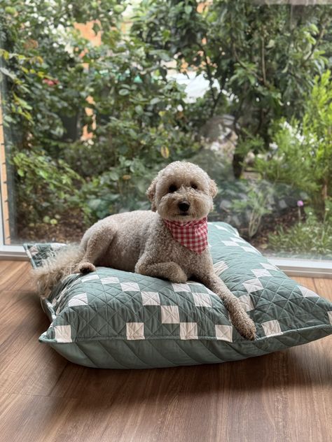 How to make: A quilted floor cushion (or dog bed :-) — Joz Makes Quilts Quilted Dog Bed Diy, Quilted Dog Bed, Make Dog Bed, Sew Dog Bed, Dog Bed Diy, Dog Bed Sewing Pattern, Dog Beds Homemade, Quilted Items, Diy Pet Bed