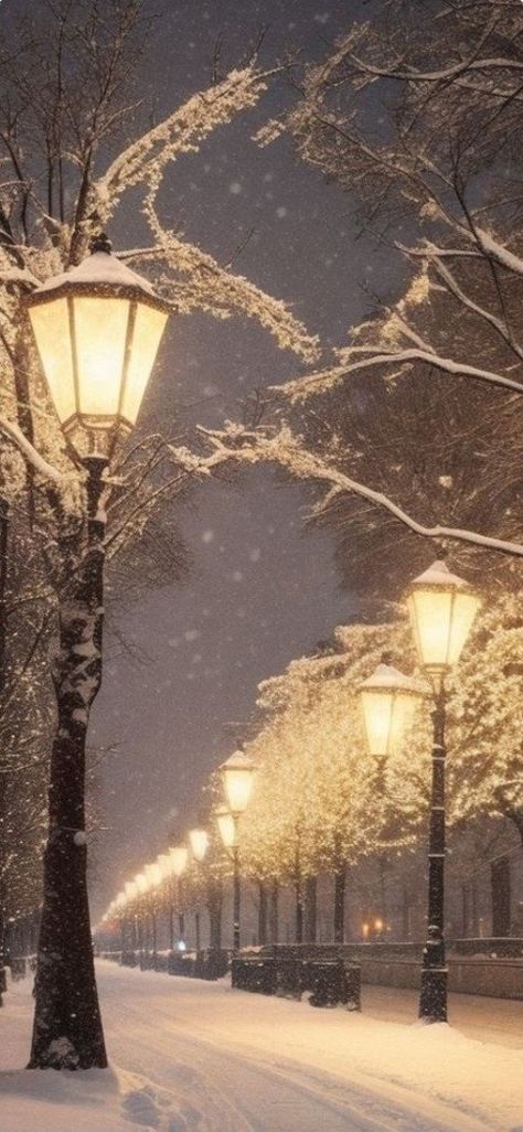 Winter Wonderland Wallpaper, Winter Lights, Snowy Night, Winter Landscapes, Winter Background, Winter Photos, Winter Love, Caught On Camera, Winter Wallpaper