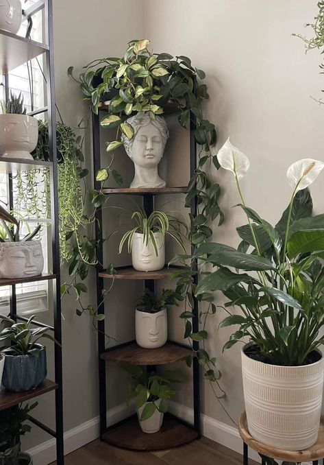 Plant Display Ideas, Plant Decor Indoor, House Plants Decor, Room With Plants, Plants Decor, Apartment Decor Inspiration, House Plants Indoor, Plant Mom, Decor Home Living Room