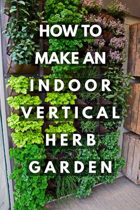 How to Make an Indoor Vertical Herb Garden Vertical Herb Gardens, Herb Garden Wall, Funny Vine, Outdoor Herb Garden, Herb Wall, Vertical Garden Indoor, Vertical Herb Garden, Vertical Garden Wall, Vertical Garden Diy