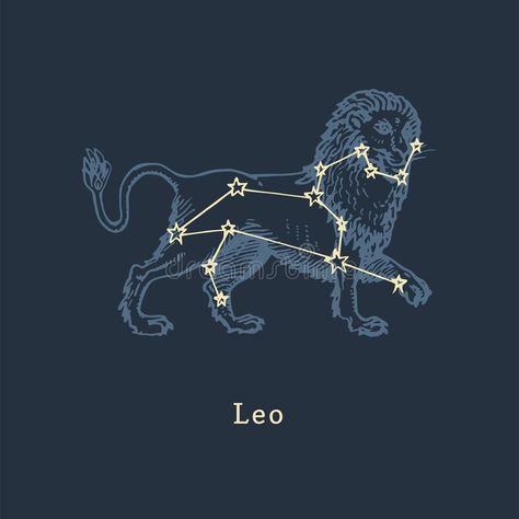 Leo Illustration Zodiac Art, Leo Constellation Aesthetic, Astrology Leo Aesthetic, Leo Constellation Drawing, Leo Zodiac Star Constellation, Leo Illustration Zodiac, Zodiac Leo Aesthetic, Leo Zodiac Illustration, Leo Star Sign Aesthetic