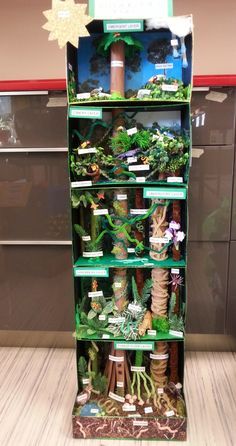 Biomes Classroom Display, Rainforest Habitat Projects For Kids, Rainforest Diorama, Pokémon Christmas, Plant Presentation, Rainforest Crafts, Rainforest Project, Rainforest Activities, Rainforest Biome