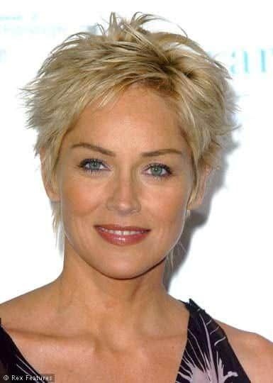 35 Greatest Short Hairstyles for Round Faces Over 50 Sharon Stone Short Hair, Sharon Stone Hairstyles, Short Shaggy Haircuts, Heather Locklear, Short Shag Hairstyles, Shaggy Haircuts, Spiked Hair, Choppy Hair, Sharon Stone