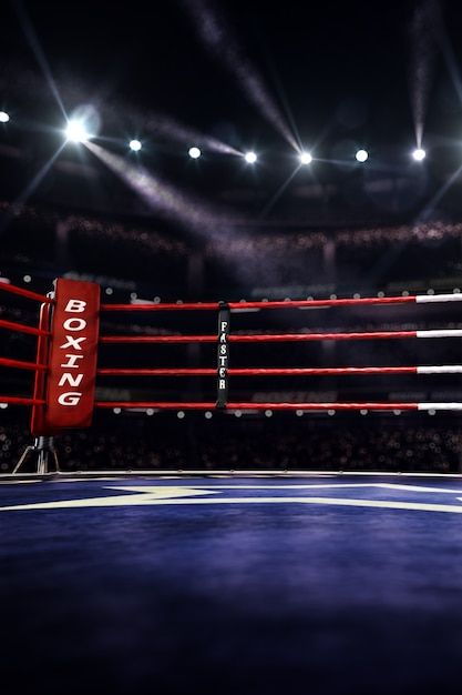 Cake Pictures Aesthetic, Cake Aesthetic Design, Boxing Arena, Arena Background, Cake Stand Ideas, Animal Crossing Cats, Cake Designing, Boxing Rings, Boxing Ring