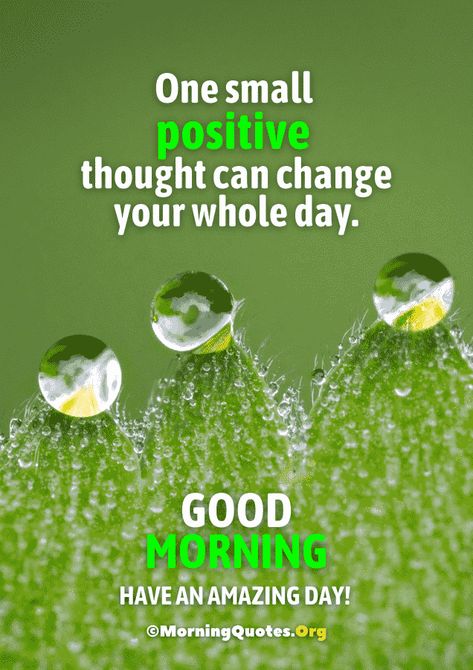 Morning Health Quotes, Positive Morning Quotes For Him, Motivation Good Morning Quotes, Positive Good Morning Quotes For Life, Good Morning Positive Quotes Motivation Happy, Happy Good Morning Quotes Smile, Positive Morning Quotes Inspirational, Positive Morning Quotes Happiness, Positive Good Morning Quotes Inspiration Beautiful