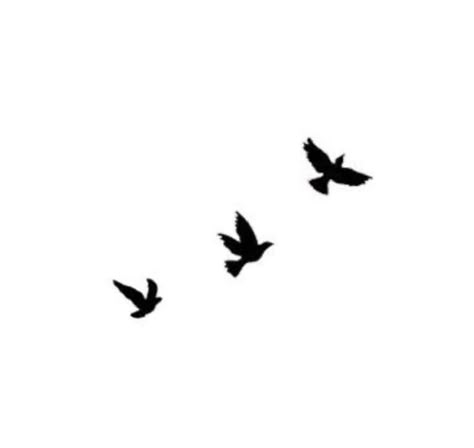 Three Black Birds Tattoo, Small Birds Flying Tattoo, Three Bird Tattoo, Tattoo Fonts For Names, Birds Flying Tattoo, Bird Outline Tattoo, Birds Outline, Three Little Birds Tattoo, Three Birds Tattoo