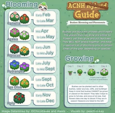 Image displays a list of bushes and their seasons. Guide to Animal Crossing Gardens + Florals. Acnh Flowers, Acnh Guide, Acnh Tips, Animal Crossing Tips, Gamer Stuff, Animal Crossing Memes, Ac New Leaf, Animal Crossing Guide, Ac Ideas