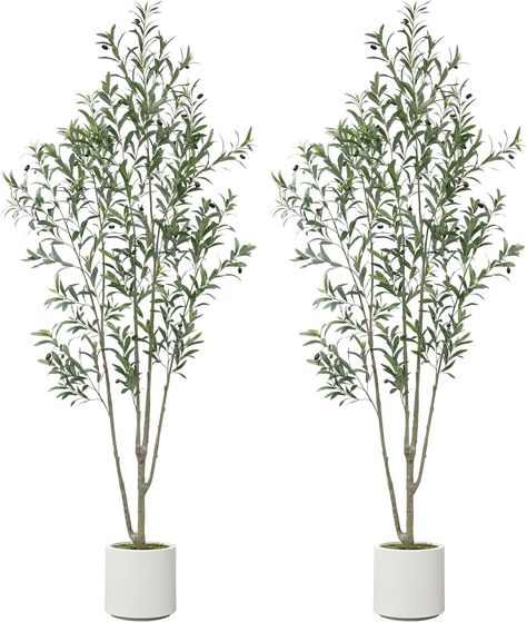 Amazon.com: ROOMTEC 2Pack Artificial Olive Tree 7feet, Faux Olive Tree with White Planter and Fake Moss, Olive Trees Artificial Indoor, Potted Plants Artificial Decor Realistic Trunk and Leaves for Home(2, 7 FT) : Home & Kitchen Indoor Potted Plants, Fake Moss, Artificial Olive Tree, Artificial Plants Indoor, Faux Olive Tree, Wood Trunk, Faux Tree, White Planters, Artificial Trees