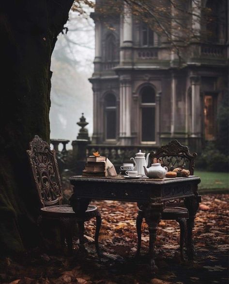 Gothic Manor, A Night At The Opera, Gothic Garden, Victorian Garden, Dark Academia Aesthetic, Academia Aesthetic, Victorian Gothic, Autumn Aesthetic, Dark Aesthetic