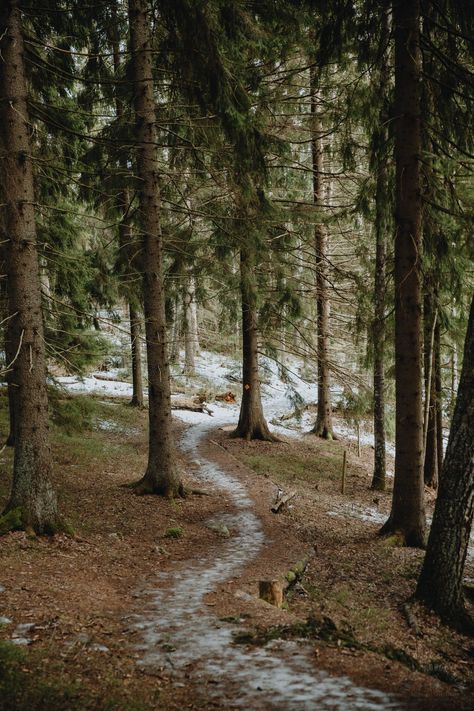 Sipoonkorpi Winter Hiking: Byabäcken Nature Trail - In the Woods, Dear Nature Woods Aesthetic, Walks In The Woods, Running In The Forest Aesthetic, Living In The Woods Aesthetic, Winter Walks Aesthetic, Winter Wellness Aesthetic, Wood Working Aesthetic, Hiking Aesthetic Winter, Winter Hiking Aesthetic