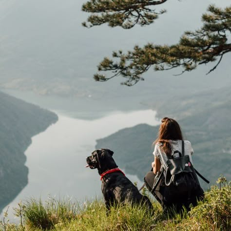 Dog Hiking Photography, Rescuing A Dog, Dog Travel Aesthetic, Trained Dog Aesthetic, Adventures With Dogs, Dog Hiking Aesthetic, Dog In Mountains, Adventure With Dog, Dog Training Aesthetic