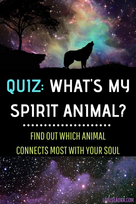 How To Find Spirit Animal, Which Animal Are You Quiz, Spirit Animal Test, What Is My Spirit Animal Quiz, What's My Spirit Animal, Fantastic Beasts Characters, Whats Your Spirit Animal, Spirit Animal Quiz, Find Your Spirit Animal