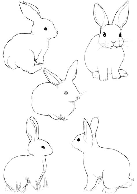 Rabbit Sketches, Rabbit Drawing Easy, Easy Bunny Drawing, Bunny Sketches, Sketches Drawing, Rabbit Drawing, Pencil Sketch Images, Rabbit Painting, Bunny Drawing