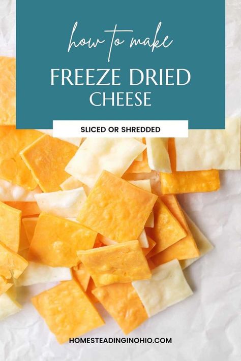 Cheese Sauce For Macaroni, Freeze Drier, Mre Food, Freeze Dry Food, Velveeta Cheese Sauce, Freeze Dried Food Storage, Backpacking Recipes, Harvest Right Freeze Dryer, Food Dryer