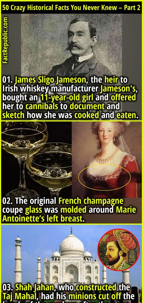 Johan de Witt was a Dutch Prime Minister who became so unpopular during his reign that a bunch of rioters lynched and partially ate him in 1672. They were never prosecuted. Mind Blowing Thoughts, Weird History Facts, Creepy History, Fun Facts Mind Blown, Fact Republic, The Heir, Strange History, History Facts Interesting, Irish History