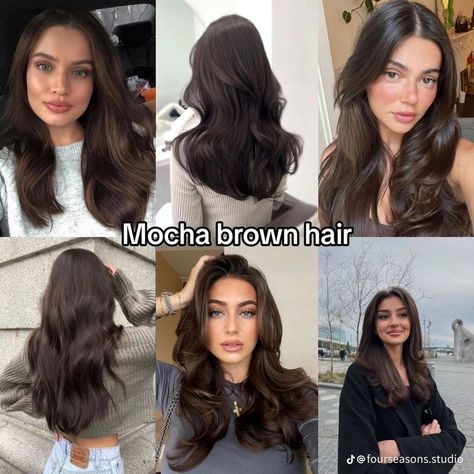 Medium Long Haircuts For Fine Hair, Different Brunette Shades, Dark Amber Brown Hair, Neutral Warm Hair Colors, Brown Mocha Hair Color, Dark Mocha Brown Hair Color, Different Shades Of Brunette Hair, Mocha Brown Hair Color With Highlights, Cool Mocha Brown Hair