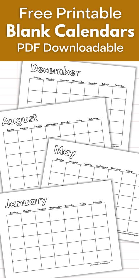 Blank monthly calendars to print off and decorate! Add your own dates to these monthly calendar pages. Great additions to a personal planner. Free Printable Blank Calendars, Calnder2023 November, Free Printable Blank Monthly Calendars, How To Make A Calendar With Cricut, Calendar Months Printables, Teacher Calendar Printables Free, Blank Calander Templates, Monthly Activities Calendar, Blank Calenders