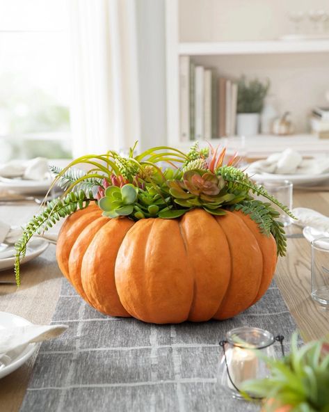 PRICES MAY VARY. All products in this collection feature assorted succulents set in a lifelike pumpkin Pumpkin is crafted from resin Painted by hand Measures 16" in diameter x 12" high For indoor or covered outdoor use Dress up your celebrations with this charming centerpiece to delight guests and loved ones. Display on its own or arrange with other natural accents for an elevated look. Pumpkin Diy Decorations, Pumpkin Diy Crafts, Spray Painted Wine Bottles, Fall Hanging Baskets, Autumn Window, Succulent Pumpkin, Pumpkin Diy, Pumpkin Centerpiece, Slim Tree